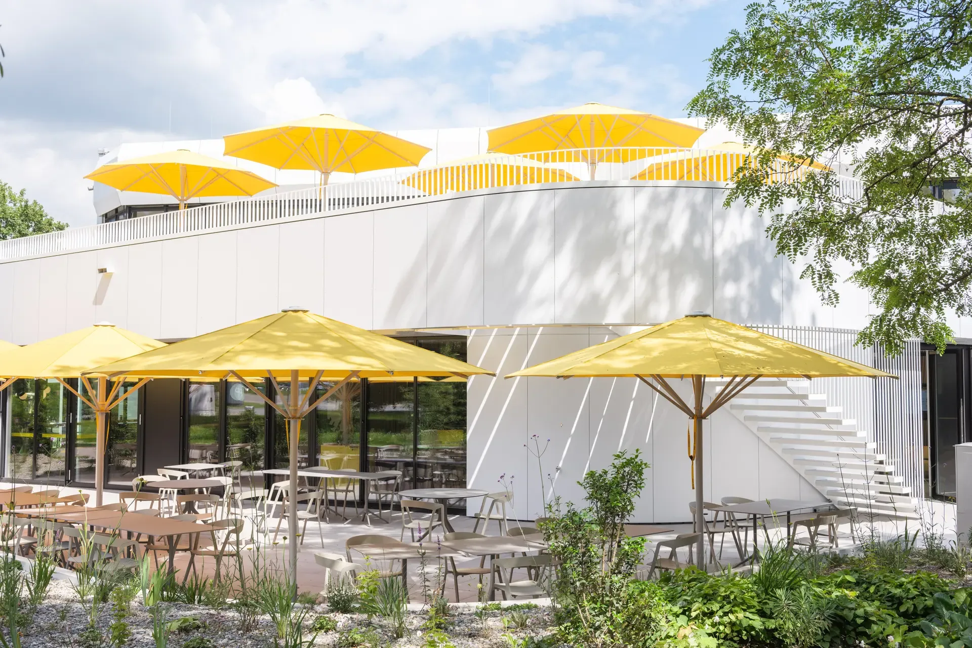 Gelbe Sonnenschirme vor einem gastronomischen Gebäude mit Außenplätzen